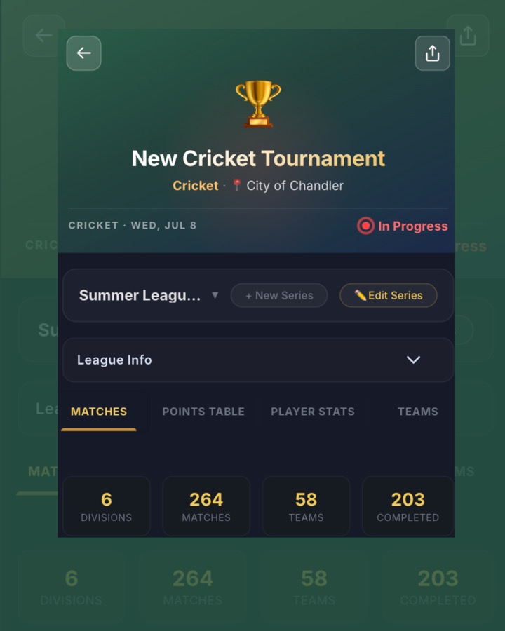 Cricket scoring and standings on the app